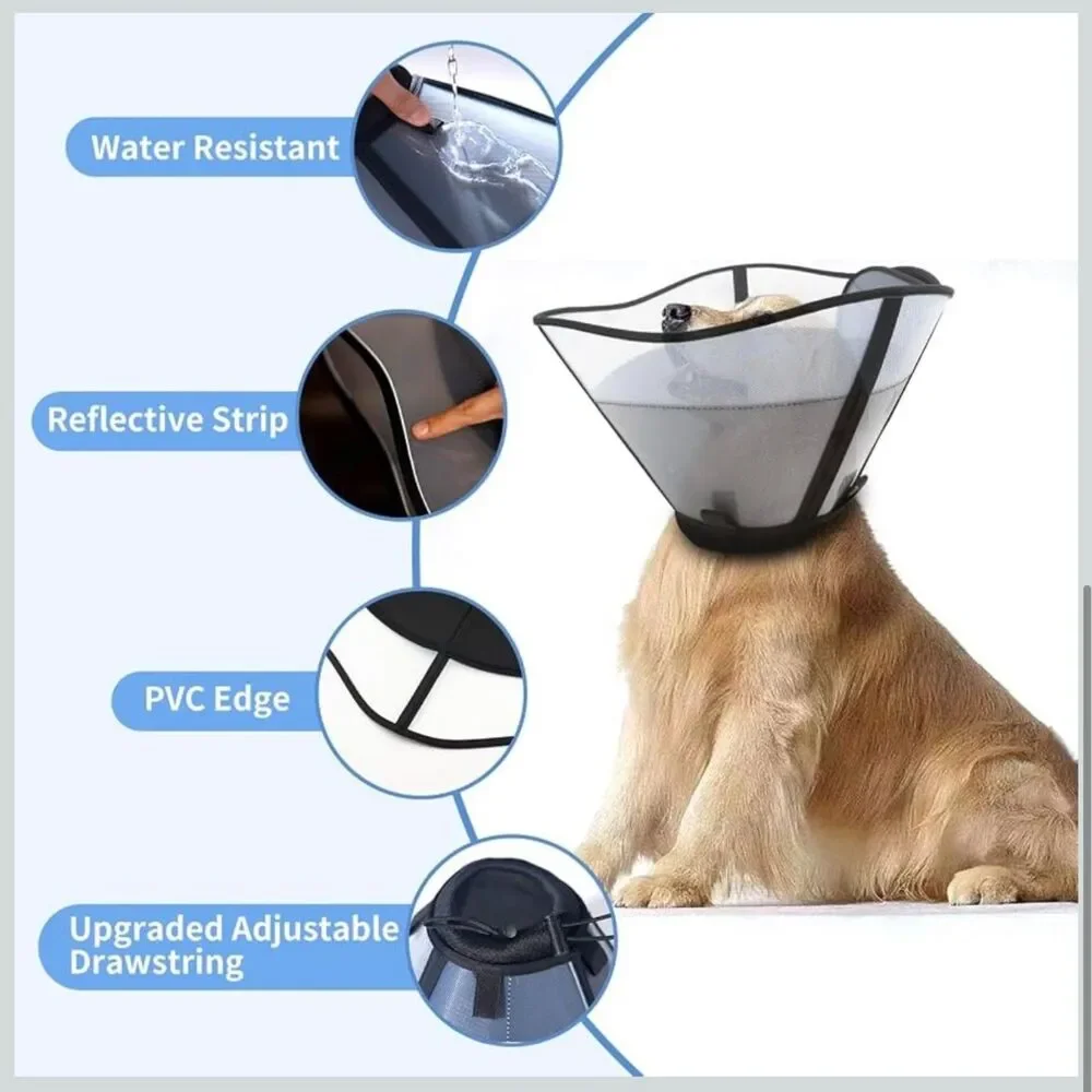 WinWeal Soft Dog Cone Collar - Medium